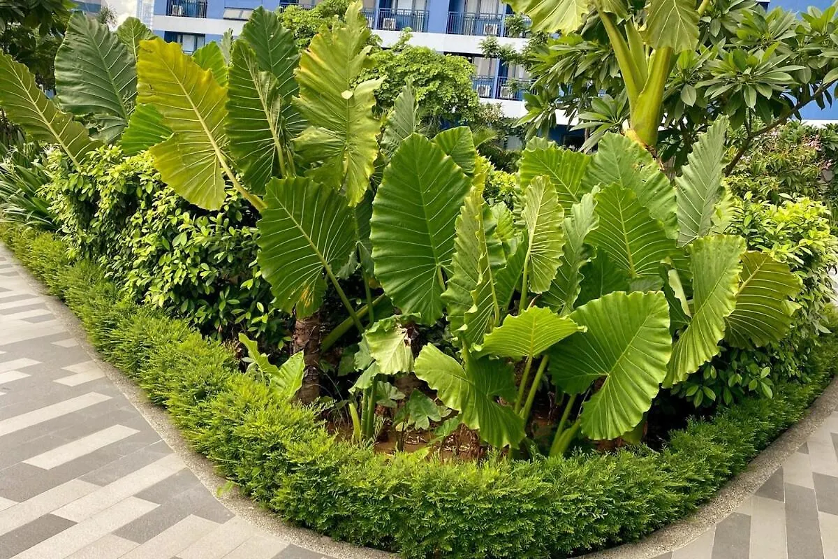 Διαμέρισμα Cosmopolitan Comfort Makati 1 Bedroom Wonder 300Mb 2428 Internet Μανίλα Φιλιππίνες